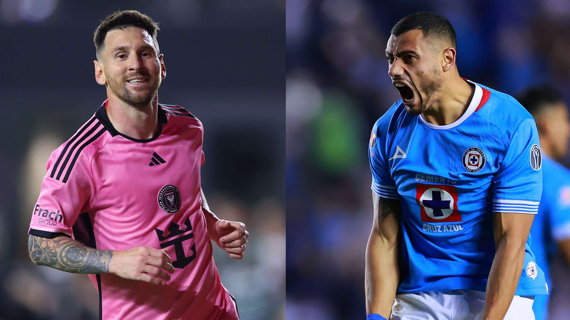 但凭借其稳 但凭借其稳