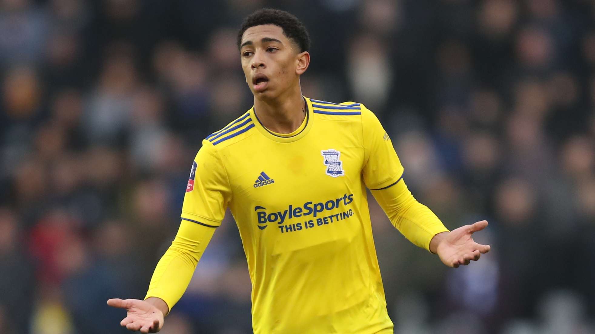 以及在逆境 以及在逆境